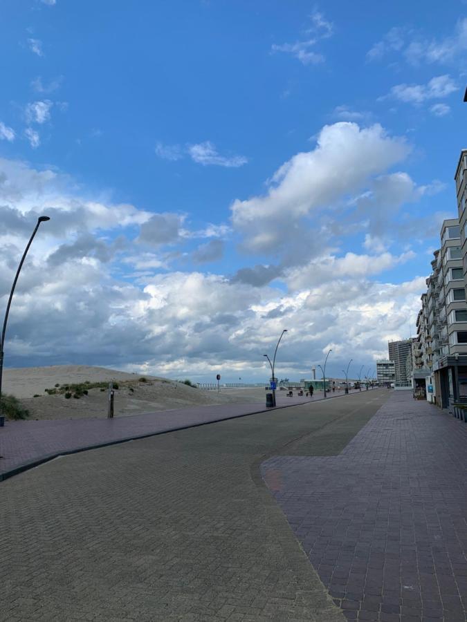 Appartement En Bord De Mer オーストダインケルケ・バート エクステリア 写真